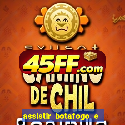 assistir botafogo e avai ao vivo em hd